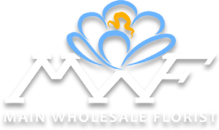 Main Wholesale Florist