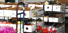 Wholesale Flowers Packed